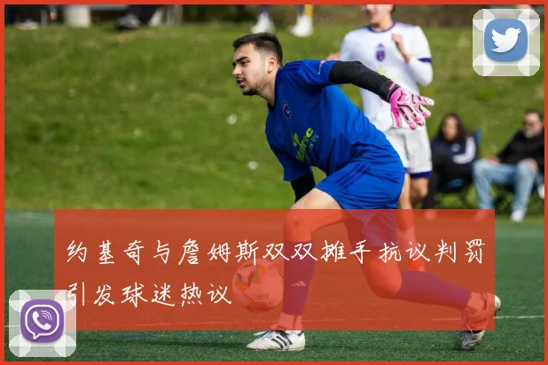 约基奇与詹姆斯双双摊手抗议判罚引发球迷热议