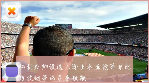 热刺新帅候选人浮出水面德泽尔比与波切蒂诺争夺教鞭