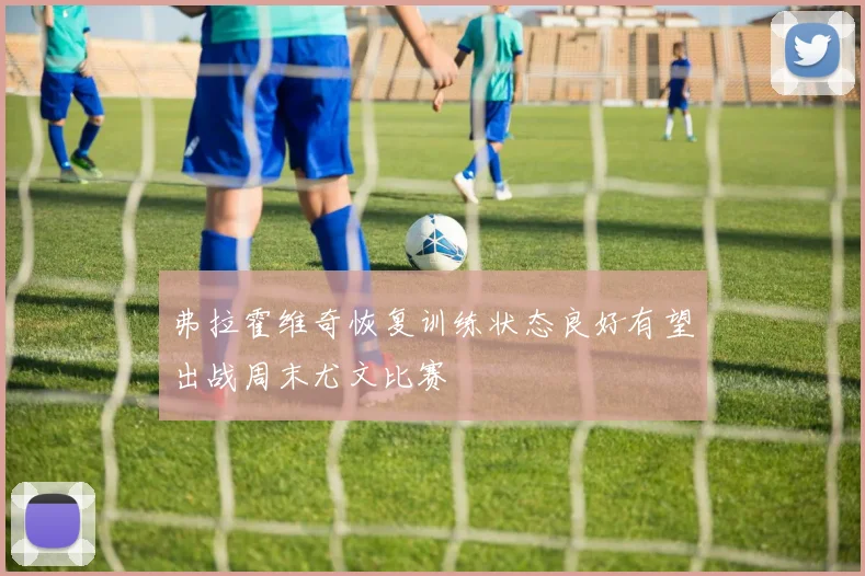 弗拉霍维奇恢复训练状态良好有望出战周末尤文比赛