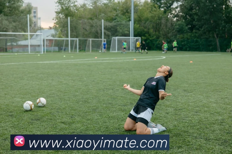 多媒体互动体验